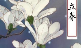 2020年2月4号几点打春