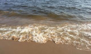 秦皇岛新澳海底世界