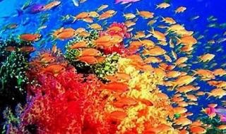 秦皇岛新澳海底世界